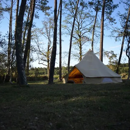 Ocean Shelter *