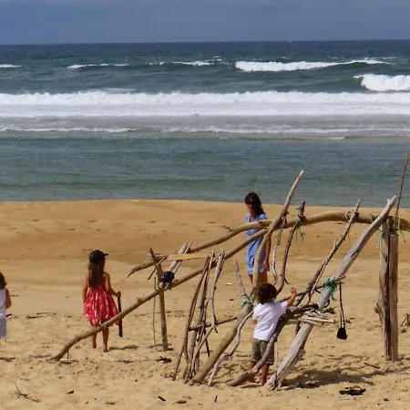 Lodge Ocean Shelter