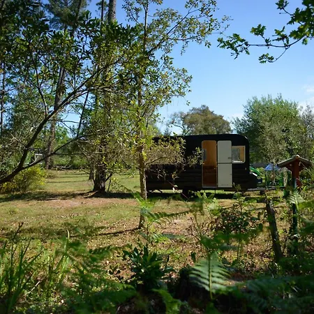 Lodge Ocean Shelter *
