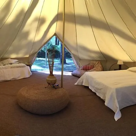 Ocean Shelter Lodge *