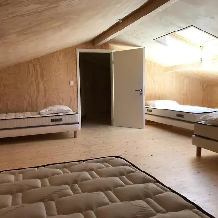 Ocean Shelter
